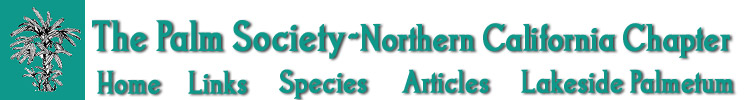 The Palm Society--Northern California Chapter